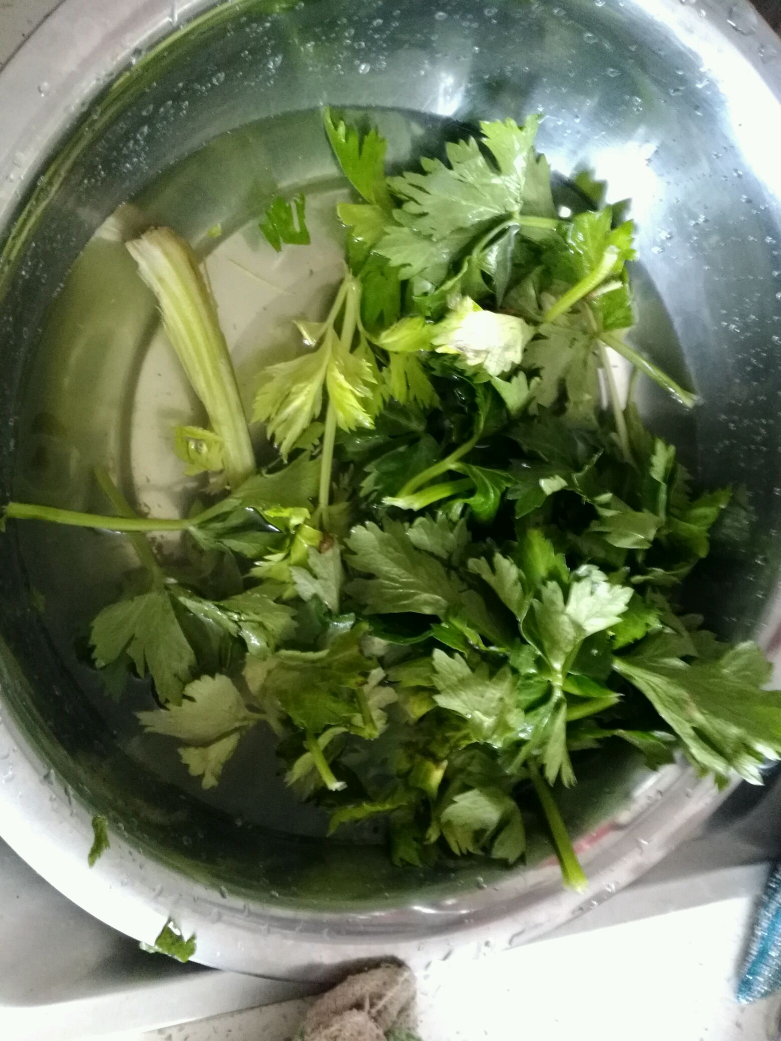 浆水菜怎么做_浆水菜的做法_豆果美食