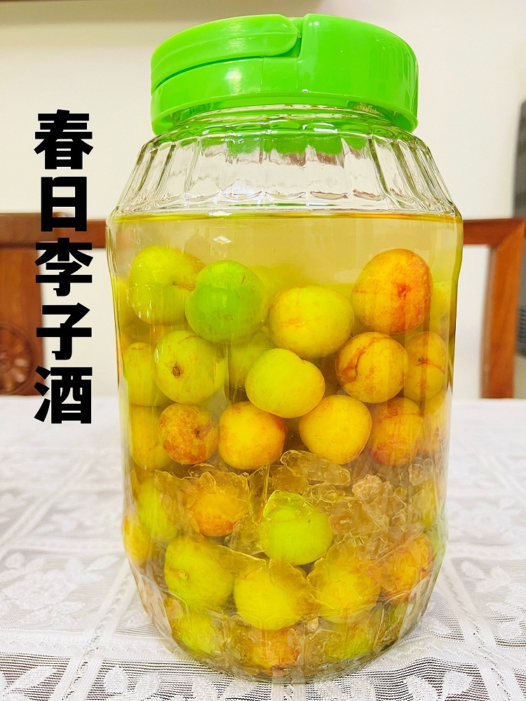 酸酸甜甜春日李子酒的做法