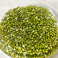 绿豆百合薏米粥的做法图解1