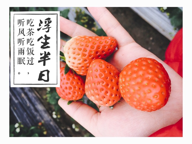 草莓柠檬酱的做法图解1