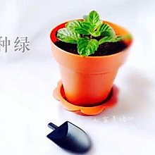 种绿（奶油奶酪盆栽蛋糕）