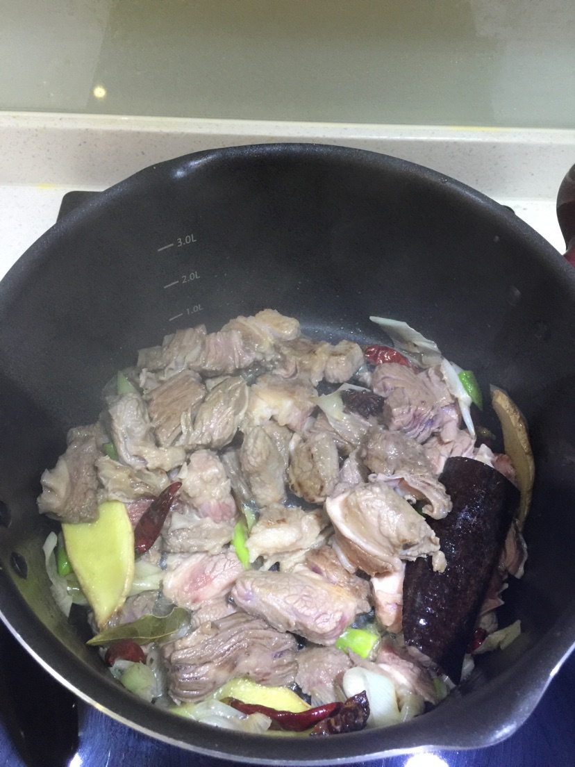红炖牛肉（适合新手，不知道算红烧还是炖，哈哈哈）的做法图解5