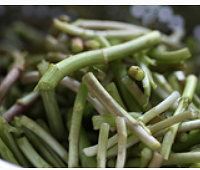 野芦蒿炒香干的做法图解1