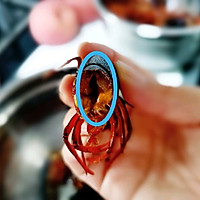 蒜香小龙虾（附清洗方法）的做法图解3