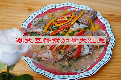 潮式豆酱煮加拿大红鱼