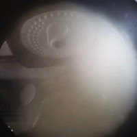 挪威北极鳕鱼粥的做法图解1