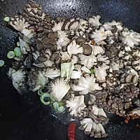 韭香蘑菇芽的做法图解4