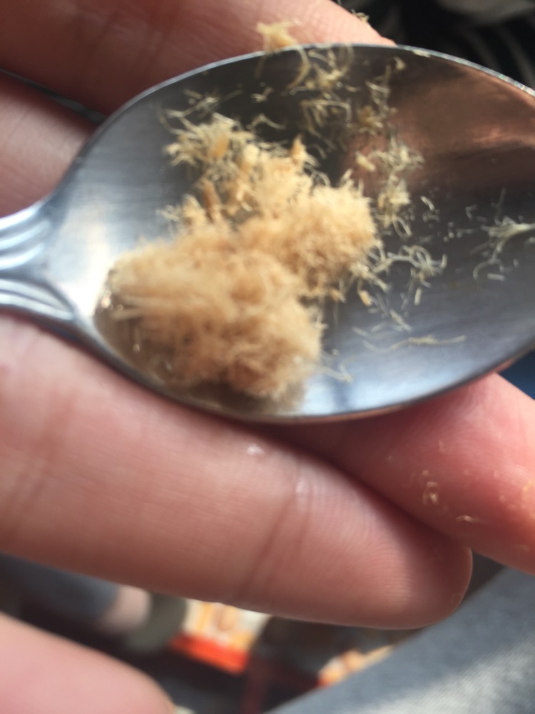 面包机版牛肉松的做法图解8
