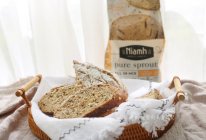 只需加水的超省心谷物面包 #Niamh一步搞定懒人面包#的做法