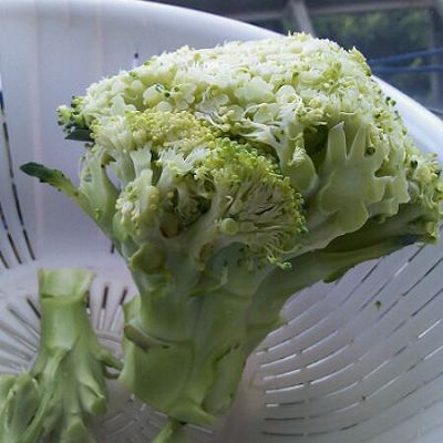 西兰花香菇鸡肉粥的做法_菜谱_豆果美食