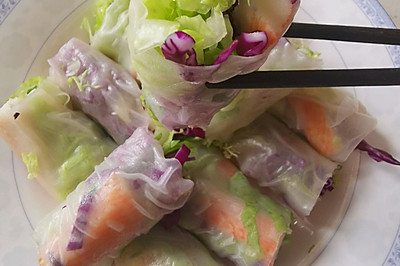 越南蔬菜春卷