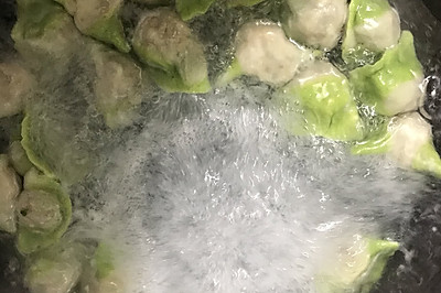 妈妈的味道之菜馅饺子