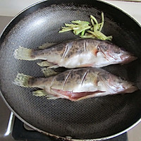 【菁选酱油试用】家常烧鳜鱼的做法图解5