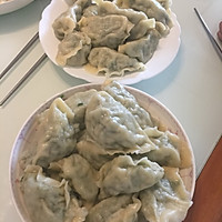 小茴香饺子的做法图解4