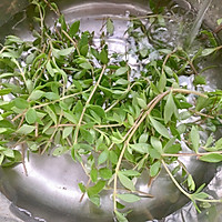 #珍选捞汁 健康轻食季#捞汁垂盆草的做法图解2