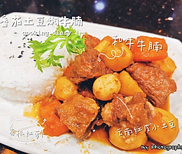 经典香港茶餐厅菜式番茄土豆焖牛腩的做法