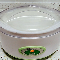 自制老酸奶的做法图解5