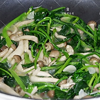 蟹味菇炒菠菜的做法图解6