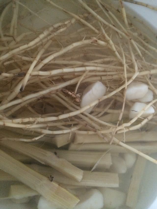 清甜滋润竹?马蹄矛根水的做法图解2