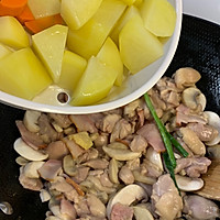 白汁口蘑炖鸡肉的做法图解21