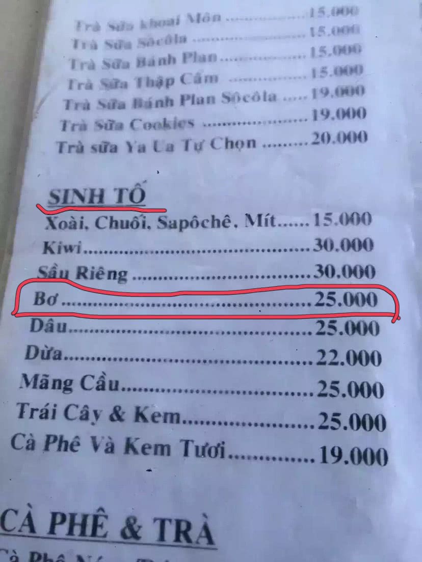 简单粗暴牛油果冰沙的做法图解10