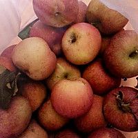 苹果煎饼的做法图解1