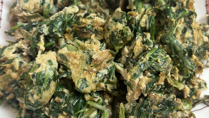 春天的味道之蒲公英炒鸡蛋