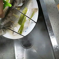 清蒸鲈鱼的做法图解4