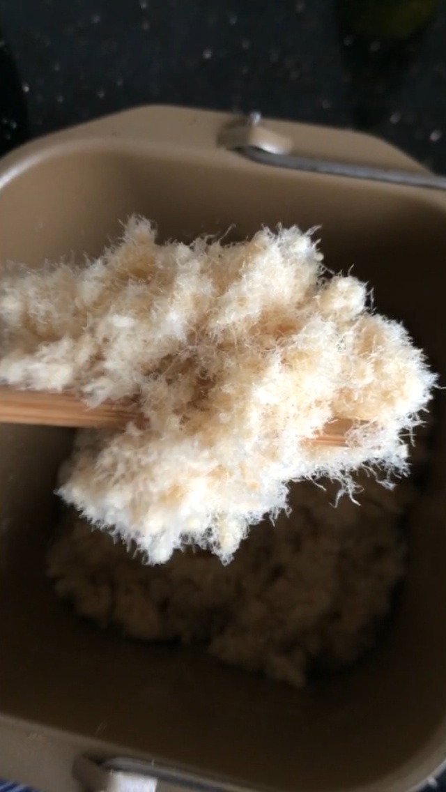 面包机自制肉松的做法