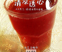 桂花乌梅汤的做法