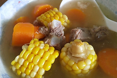 玉米胡萝卜排骨汤