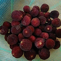 杨梅冰淇淋的做法图解1
