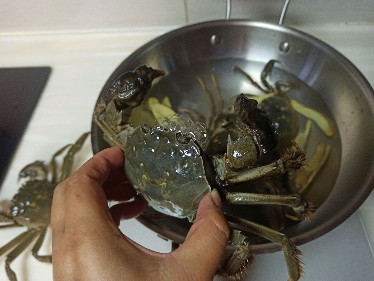 无水煮螃蟹这样的小螃蟹最适合这做法，不加一滴水煮不会焦糊很香 - 哔哩哔哩