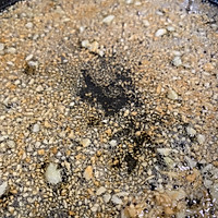 蒜蓉粉丝蒸虾的做法图解9