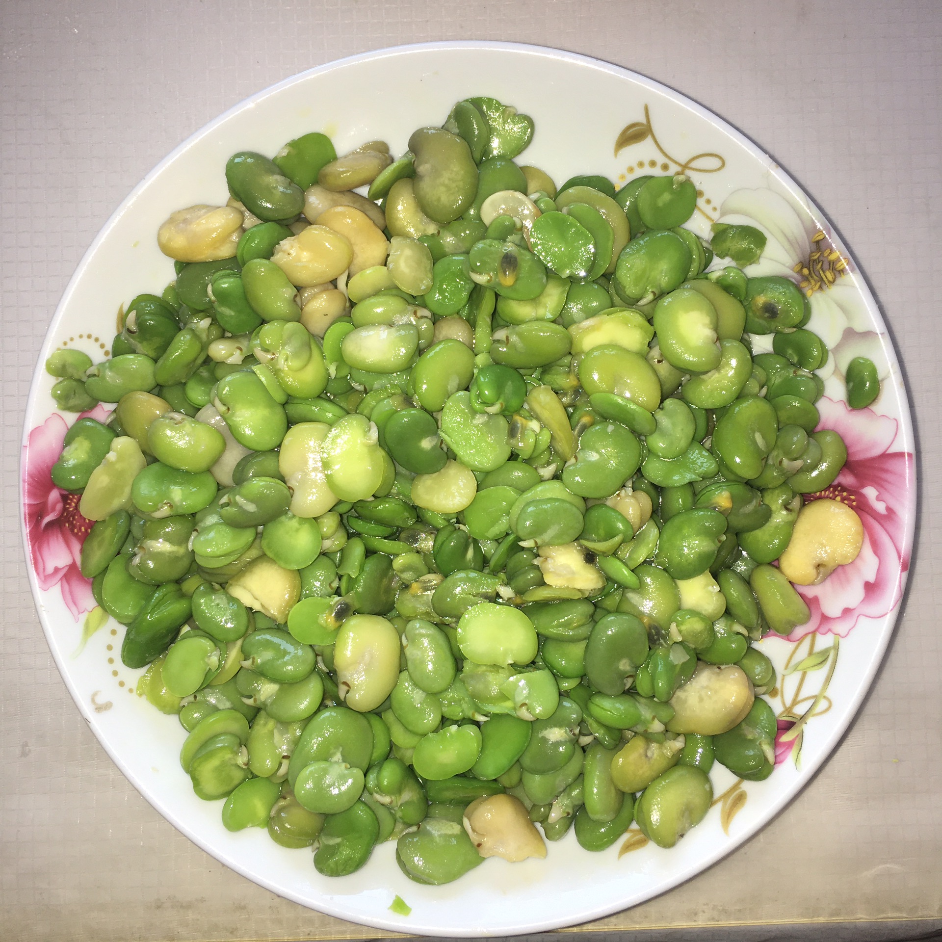 Fava bean