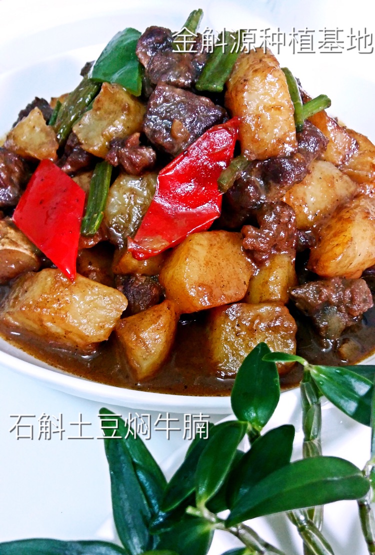 石斛土豆焖牛腩