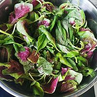 清蒸马苋菜的做法图解3