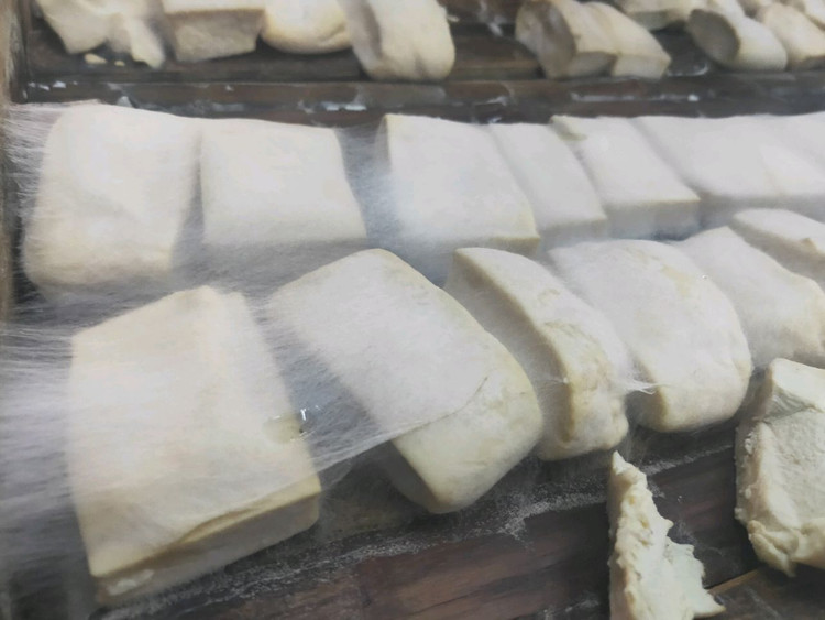 衢州特色小吃之毛豆腐（油炸毛豆腐）的做法