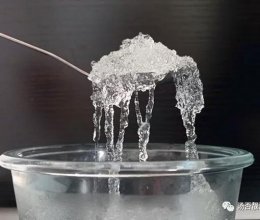雪燕布丁，健康の手作甜品的做法