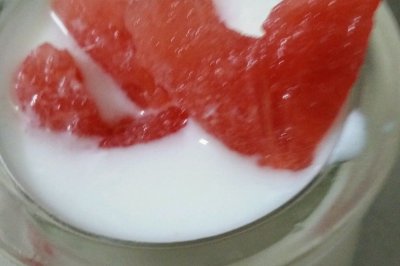 柏翠PE6280的自制酸奶
