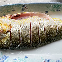 #家乡年味 鲜才够味#清蒸大黄鱼的做法图解1