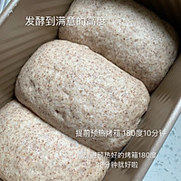 无油无糖❗❗️️不用手套膜的全麦吐司的做法图解3