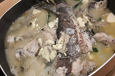 鱼头豆腐杂蔬锅仔
