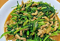 香菜炒肉丝