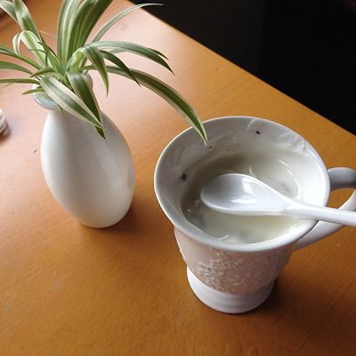 冷冻酸奶