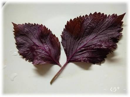 赤紫苏醋怎么做 赤紫苏醋的做法 豆果美食 赤紫苏醋怎么做 赤紫苏醋的做法 豆果美食