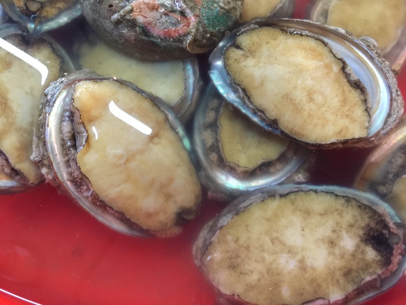 海鲜砂锅粥（鲍鱼木虾砂锅粥）的做法图解1