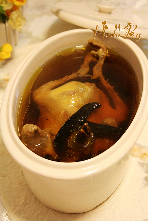 Ganoderma pigeon soup