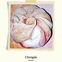 四色豆沙包子的做法图解20