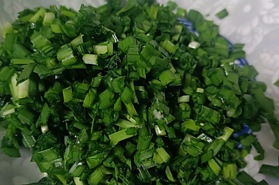鸡蛋韭菜素馅饺子